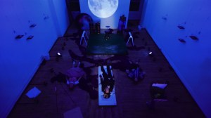 whole-space-no-drapes